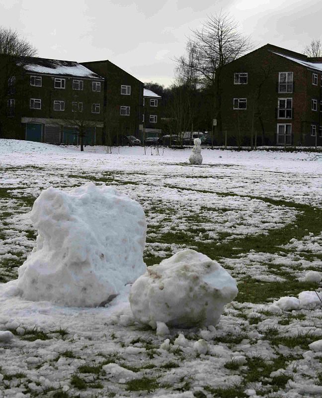 Snowy_Weather_Feb_09 (15)
